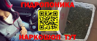 винт Гай