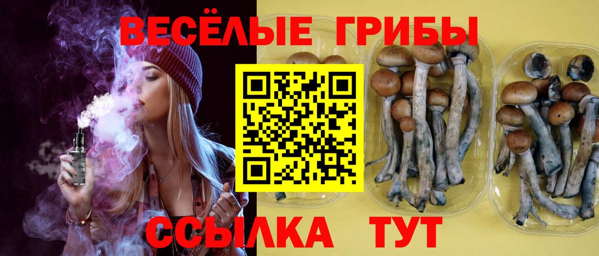 Галлюциногенные грибы Magic Shrooms Трёхгорный